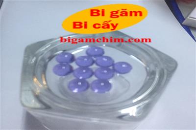 bi gam, bi cay, bi găm, bi cấy, bi đá thạch anh, bi thạch anh công nghiệp, bi 6mm, bi 7mm, bi 8mm, bi 9mm